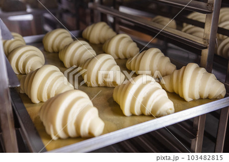 Oven-ready proofed croissant dough Oven-ready proofed croissant dough 103482815