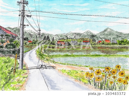 田植えが終わった農村の風景 103483372