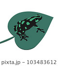 The green-and-black poison dart frog (Dendrobates auratus) sitting on a leaf vector illustration. Isolated on white. 103483612