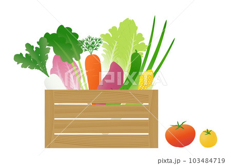 木箱に入った野菜のイラストセット（宅配、通販、収穫したてのイメージ） 103484719