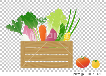 木箱に入った野菜のイラストセット（宅配、通販、収穫したてのイメージ） 103484719