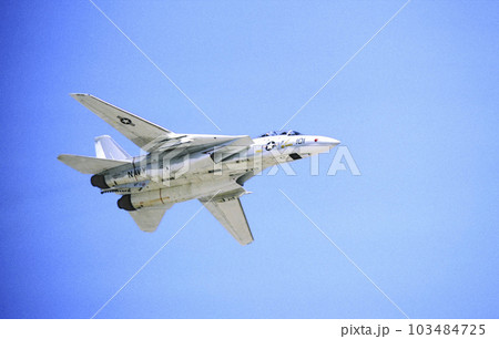エアショーF-14 103484725