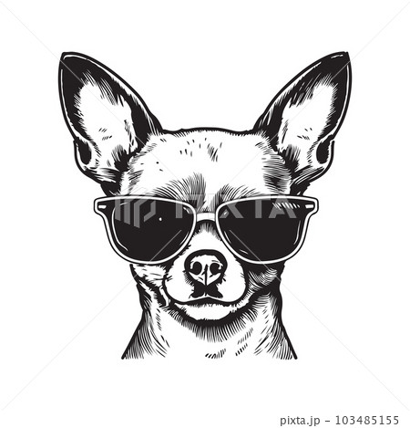 summer chihuahua, vintage logo concept black and white color, hand drawn illustration summer chihuahua, vintage logo concept black and white color, hand drawn illustration 103485155