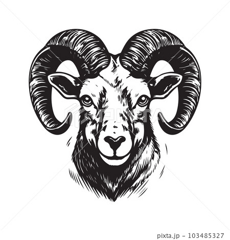 aoudad, vintage logo concept black and white color, hand drawn illustration aoudad, vintage logo concept black and white color, hand drawn illustration 103485327