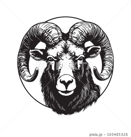 aoudad, vintage logo concept black and white color, hand drawn illustration 103485328