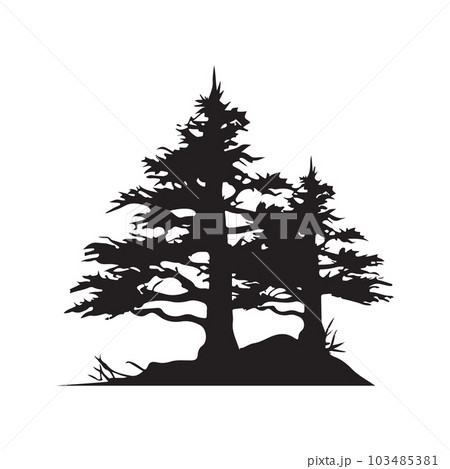 pine tree, vintage logo concept black and white color, hand drawn illustration 103485381