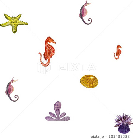 Sea horse starfish coral ocean pattern watercolor 103485388