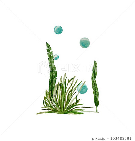 Seaweed spiral branch bubbles a watercolor sketch 103485391