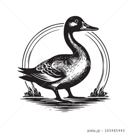 duck, vintage logo concept black and white color, hand drawn illustration 103485443