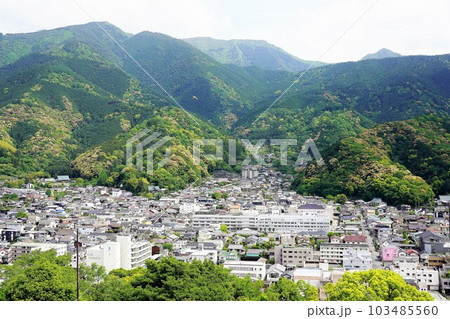 宇和島城から見た新緑の市街地 103485560