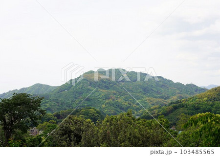宇和島城から見た新緑の市街地 宇和島城から見た新緑の市街地 103485565