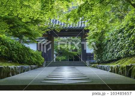 南禅寺塔頭 最勝院高徳庵 新緑に包まれた風流な参道 南禅寺塔頭 最勝院高徳庵 新緑に包まれた風流な参道 103485657