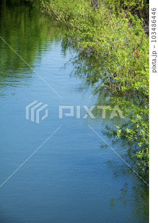 水辺の風景 水辺の風景 103486446