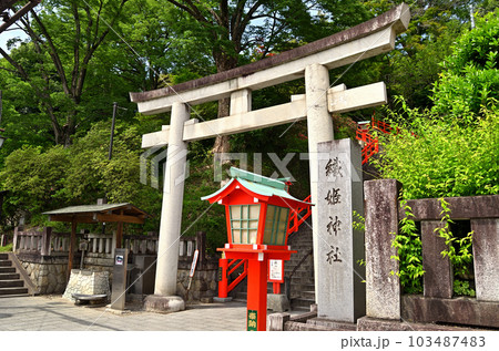 栃木県足利市　縁結びの神様　足利織姫神社 103487483