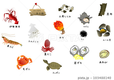 旬の魚 貝類（八月）　　かわいいイラストセット 103488140