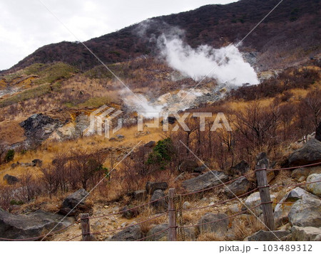 大湧谷の山々の風景 大湧谷の山々の風景 103489312