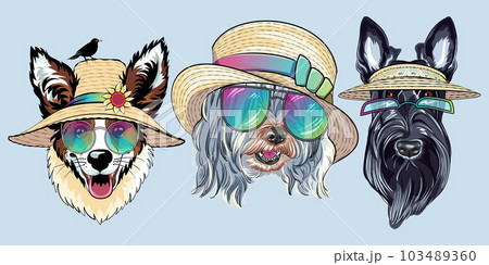 vector Hipster dog Pembroke Welsh corgi vector Hipster dog Pembroke Welsh corgi 103489360