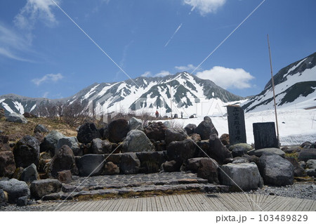 初夏の立山連峰 103489829