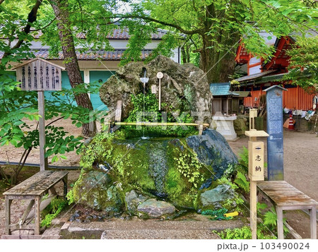 勝運・学問と馬の神様 京都藤森神社 勝運・学問と馬の神様 京都藤森神社 103490024