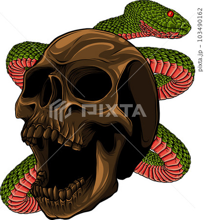 vector illustration of frog on the skull and...のイラスト素材 [103490162] - PIXTA