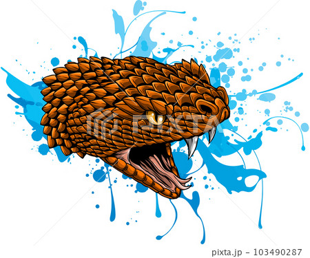 vector illustration of snake head with splash water vector illustration of snake head with splash water 103490287