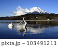 白鳥と富士山 103491211