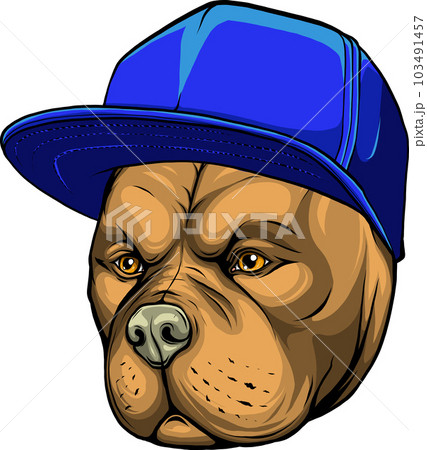 vector illustration of Pitbull dog in cap. 103491457