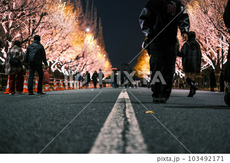 【#東京】ライトアップされた夜の明治神宮外苑の銀杏並木 103492171