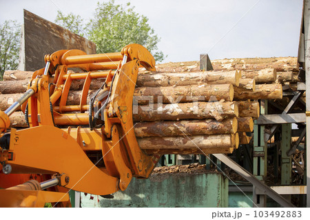 Wood processing industry. Loader with logs. Industrial wood processing Wood processing industry. Loader with logs. Industrial wood processing 103492883