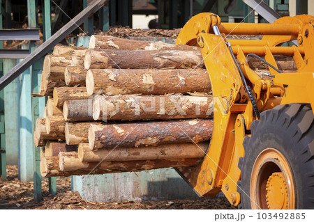 Wood processing industry. Loader with logs. Industrial wood processing 103492885