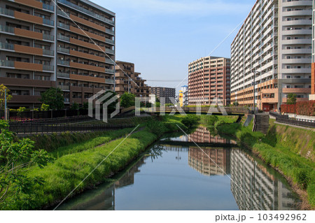 新橋 2023 芝川 新橋 2023 芝川 103492962
