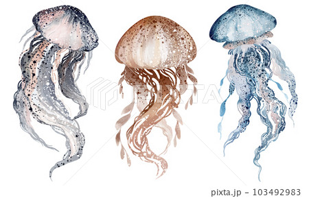 Watercolor illustration underwater marine animals octopus, stingray, jellyfish. Marine inhabitants of the underwater world. illustration, education, postcard, sticker, sublimation. 103492983