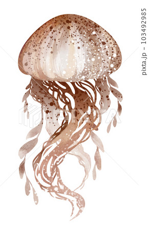 Watercolor illustration underwater marine animals octopus, stingray, jellyfish. Marine inhabitants of the underwater world. illustration, education, postcard, sticker, sublimation. 103492985