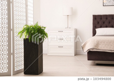Large pot with plant in bedroom. Element of interior design Large pot with plant in bedroom. Element of interior design 103494800