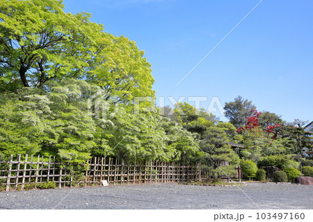 四季折々の表情を見せる日本の庭園（どうだん亭　旧浅井家住宅離れ　愛知県 尾張旭市） 103497160