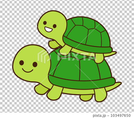龜的父母和孩子 103497650