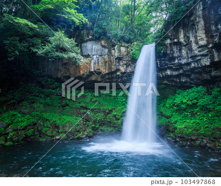 伊豆　萬城の滝　静岡 103497868