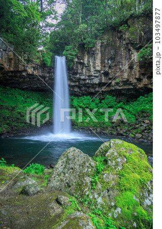 伊豆　萬城の滝　静岡 103497877