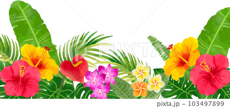 トロピカルな南国の花と植物のフレームイラスト　手描き水彩 103497899