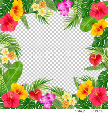 トロピカルな南国の花と植物のフレームイラスト 手描き水彩 正方形 トロピカルな南国の花と植物のフレームイラスト 手描き水彩 正方形 103497900