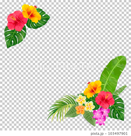 熱帶花草手繪水彩相框插圖 103497901