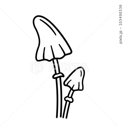 Poisonous mushrooms. Hand drawn sketch icons of forest plants. Amanita virosa. Botanical isolated vector illustration in doodle line style. Poisonous mushrooms. Hand drawn sketch icons of forest plants. Amanita virosa. Botanical isolated vector illustration in doodle line style. 103498336
