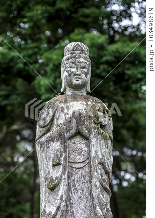 金鳳山平林寺境内の大河内松平家歴代墓にある薄目で祈る石仏 103498619