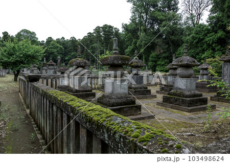 武蔵野の面影を残す平林寺境内にある大河内松平家歴代墓 武蔵野の面影を残す平林寺境内にある大河内松平家歴代墓 103498624