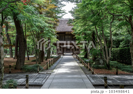 武蔵国の面影が残る平林寺のシンボルである山門 武蔵国の面影が残る平林寺のシンボルである山門 103498641