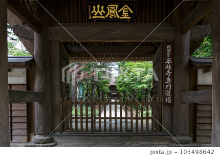 金鳳山平林寺総門から山門を望む光景 金鳳山平林寺総門から山門を望む光景 103498642