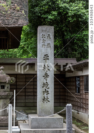 天然記念物平林寺境内林の石碑【埼玉県新座市】 天然記念物平林寺境内林の石碑【埼玉県新座市】 103498643