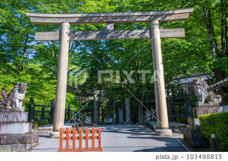古峯神社　境内　鳥居　新緑の季節　　鹿沼市　 103498815