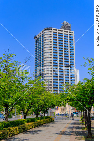 埼玉県　川口市　元郷の街並み　シティデュオタワー川口 103498845