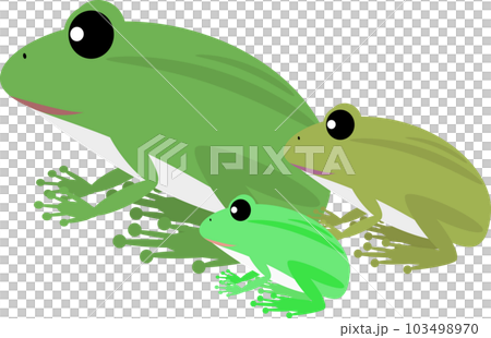 かわいいカエルの親子のイラスト かわいいカエルの親子のイラスト 103498970